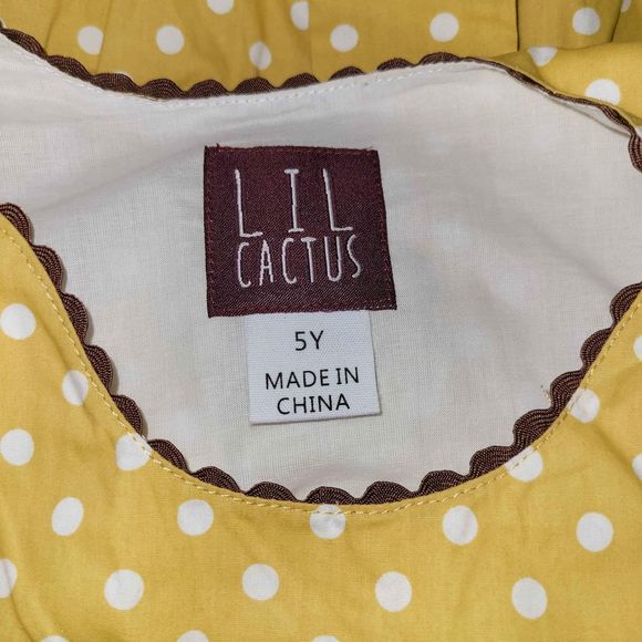 NWOT Smocked Thanksgiving Dress 5t Lil Cactus Brand - Picture 5 of 5